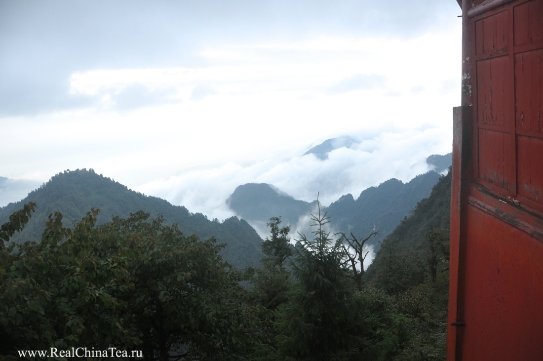 Чайный тур по провинции Сычуань