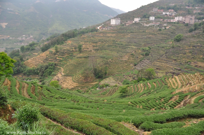 Чайный тур по провинции Фуцзянь